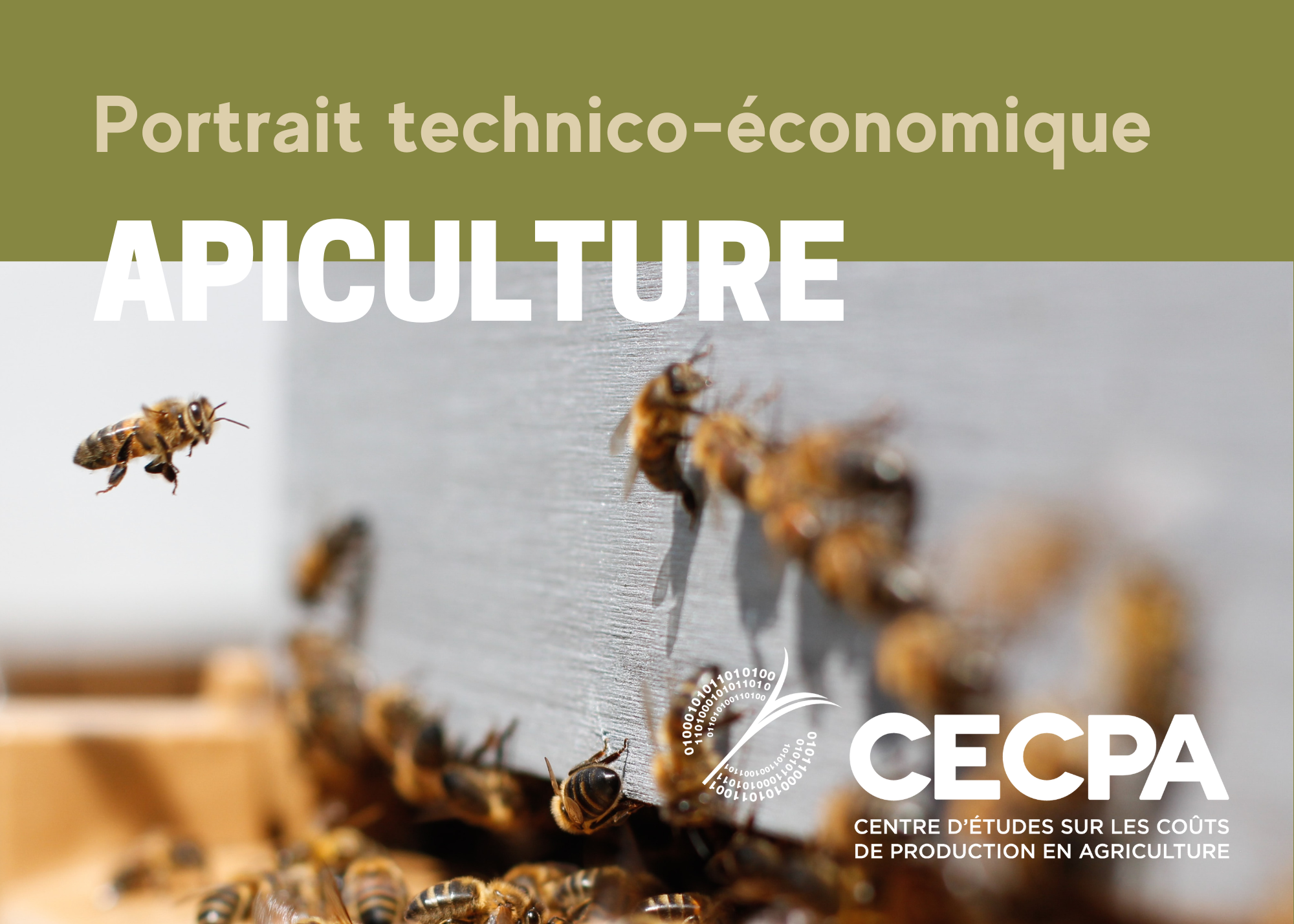 Inf. complémentaires : Portrait technico-économique - Apiculture 2022